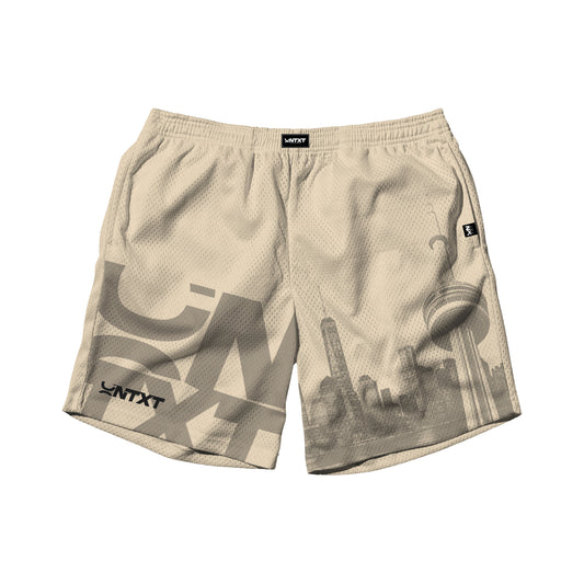 Mesh Shorts